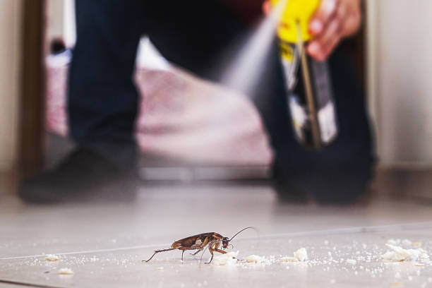 Trusted Pratt, KS Pest Control Experts